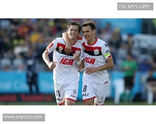 阿德莱德与中央海岸比赛结果预测分析及比分推测