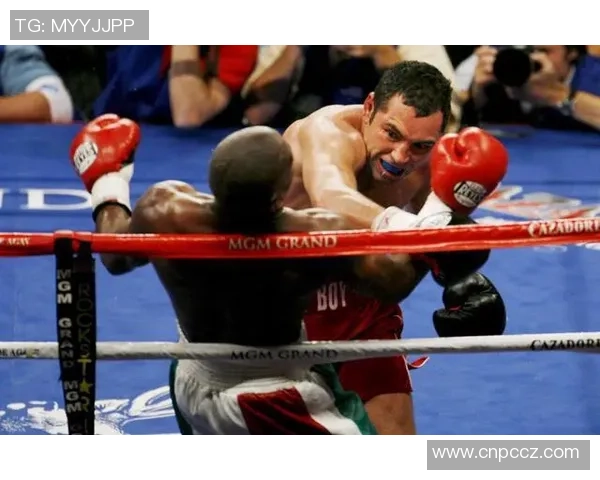 奥斯卡德拉霍亚与斯图尔姆的巅峰对决揭示拳击界的传奇故事